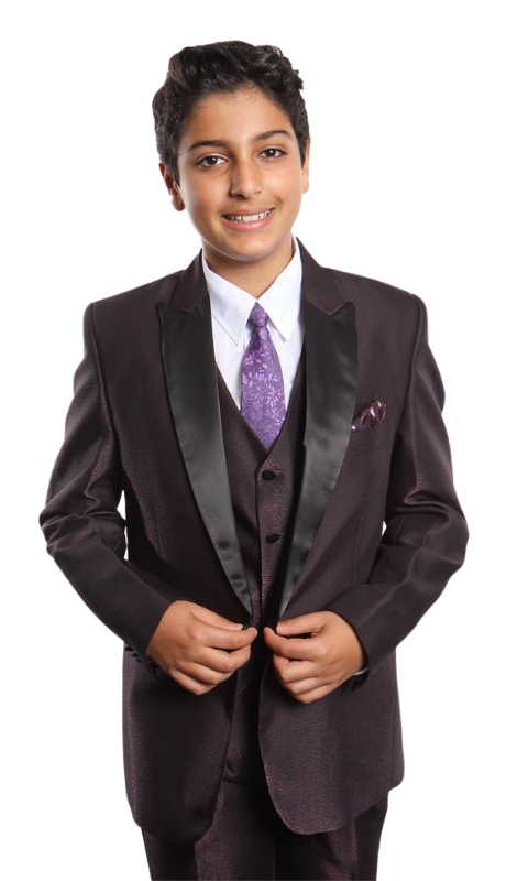 Tazzio Boys Suit B380-03-PLUM