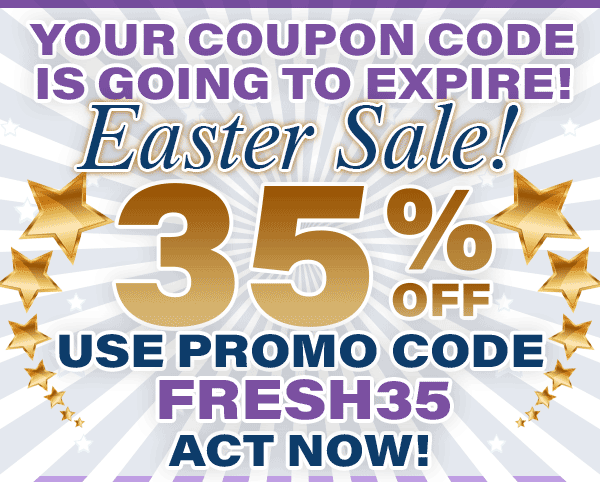 Clearance  Suits And  Dresses Spring and Summer 2026