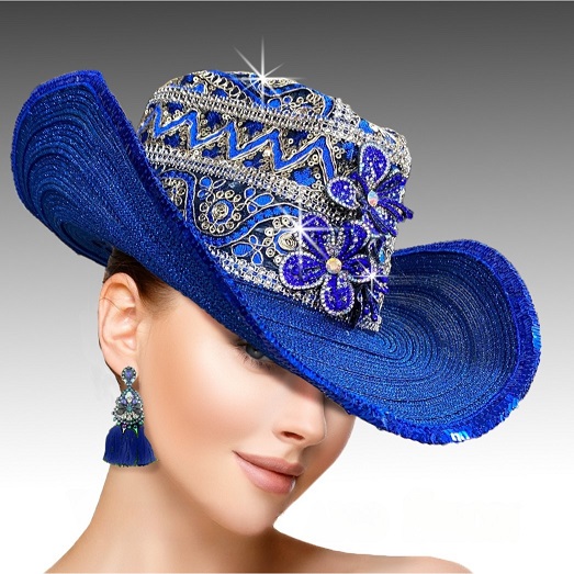 Hat SC2441-ROY Houdini